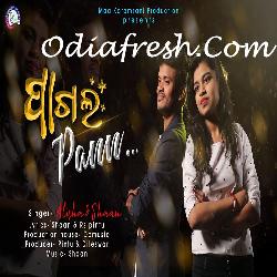 Pagal Pann - Sambalpuri Song